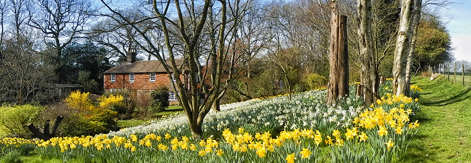 bannerHouse